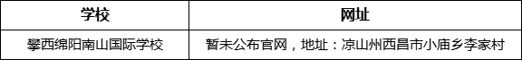 涼山州攀西綿陽南山國際學(xué)校網(wǎng)址是什么？