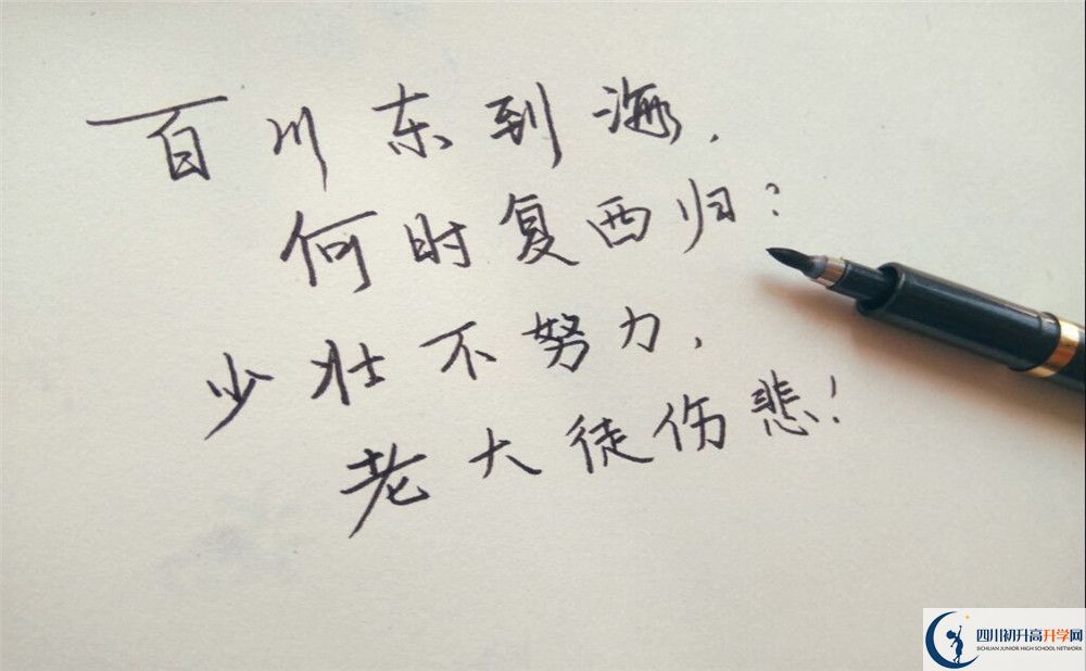 2025年廣安市廣安光正實(shí)驗學(xué)校學(xué)費(fèi)|收費(fèi)標(biāo)準(zhǔn)是多少？