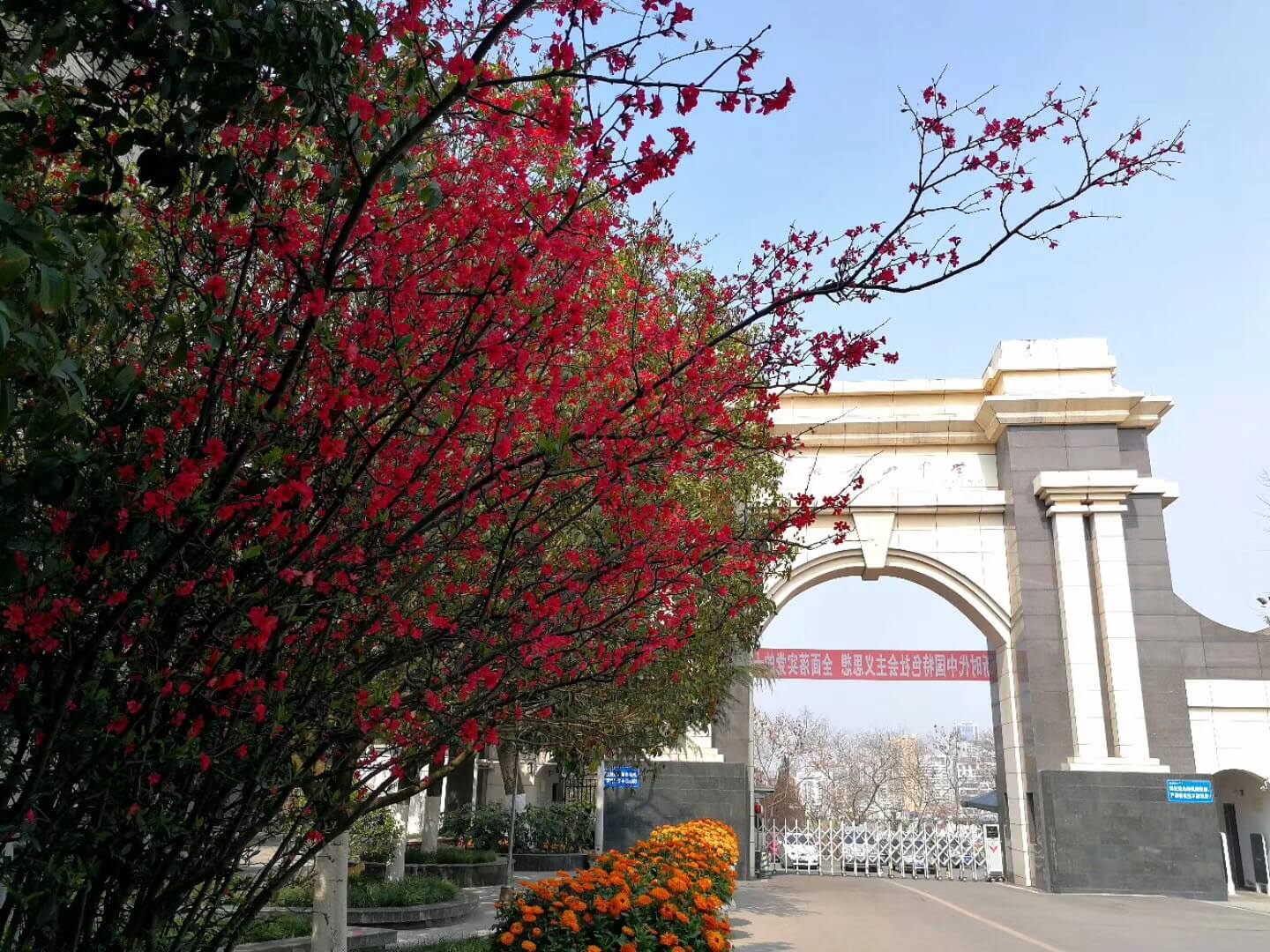 綿陽南山中學校園風采