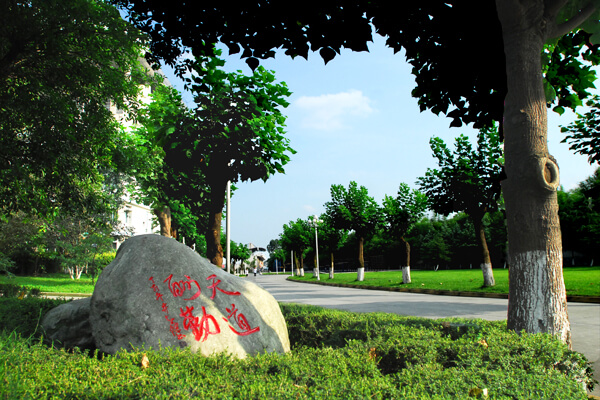 棠湖外國語實驗學(xué)校校園風(fēng)采