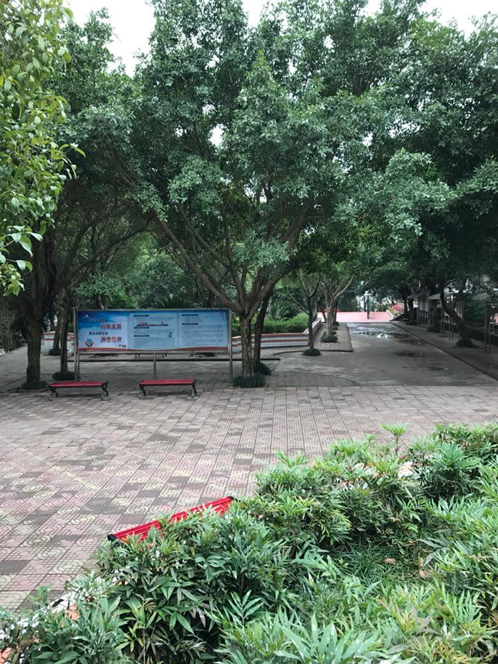 內(nèi)江十二中好嗎？
