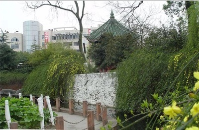 綿陽南山中學(xué)2019年統(tǒng)招計(jì)劃