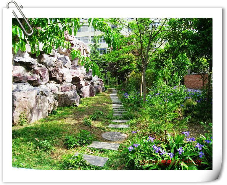 甘洛中學(xué)地址在哪里？