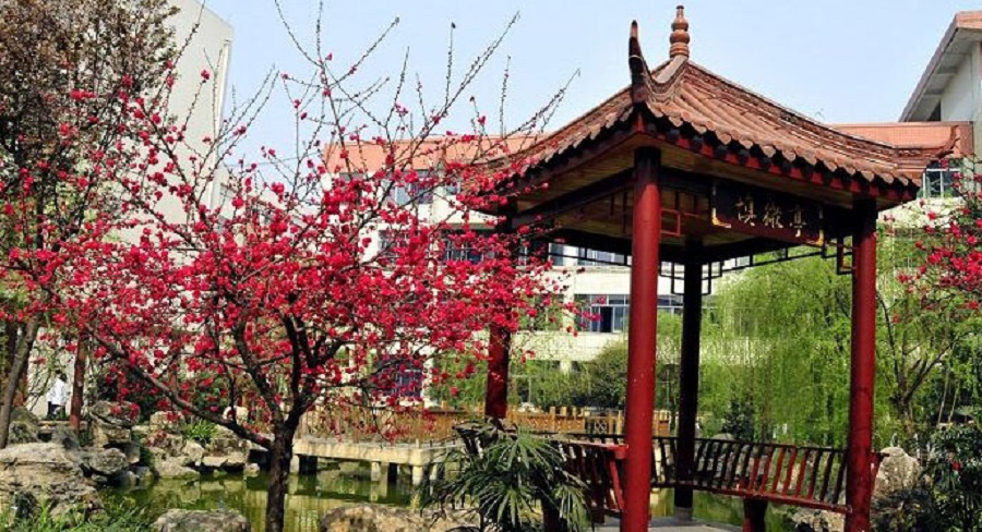 蜀城中學(xué)2020年中考錄取分?jǐn)?shù)線是多少？