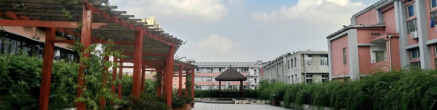 成都市通錦中學(xué)2019年中考分?jǐn)?shù)線是多少？