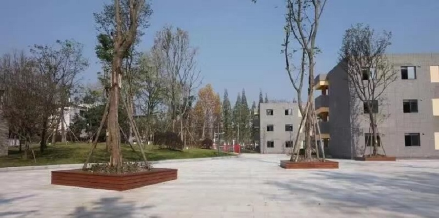 成都綿實外國語學校2019年招生公告公布了嗎？