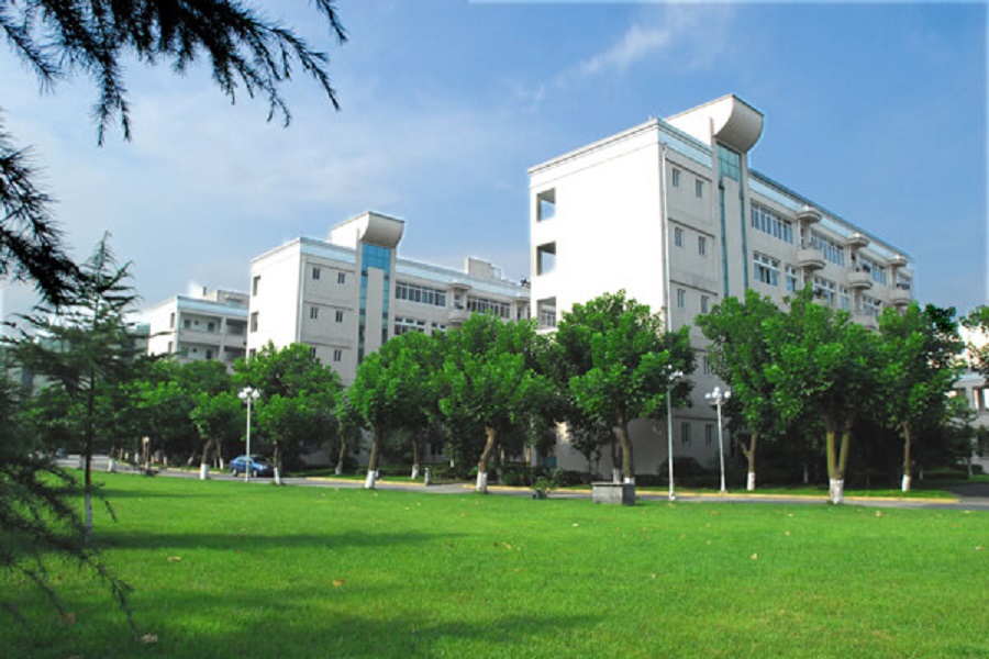 棠湖外國語學校近幾年中考錄取分數(shù)線是多少？
