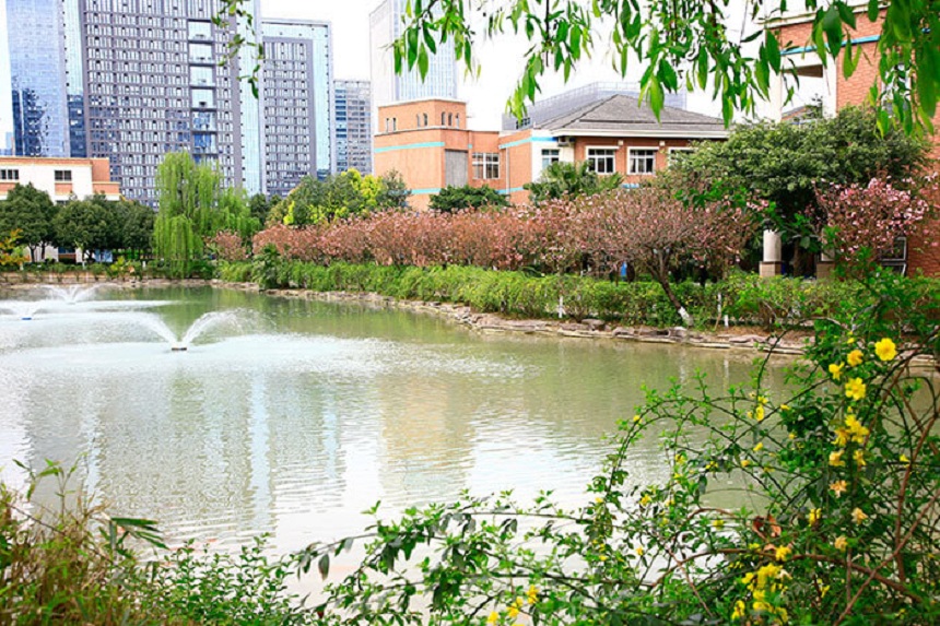 成都美視國(guó)際學(xué)校網(wǎng)址是什么？