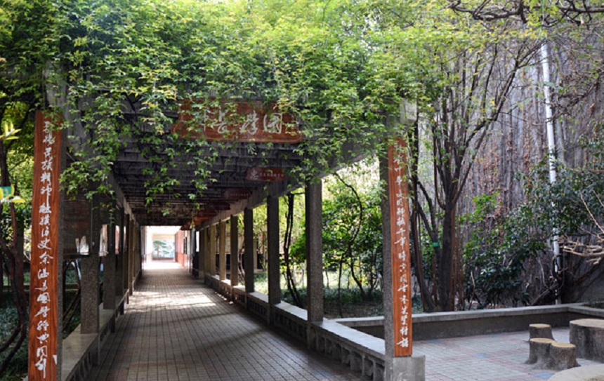 成都玉林中學網(wǎng)址在是什么？