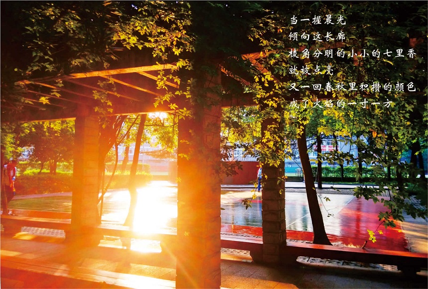 成都七中高新校區(qū)2019年中考分?jǐn)?shù)線是多少？