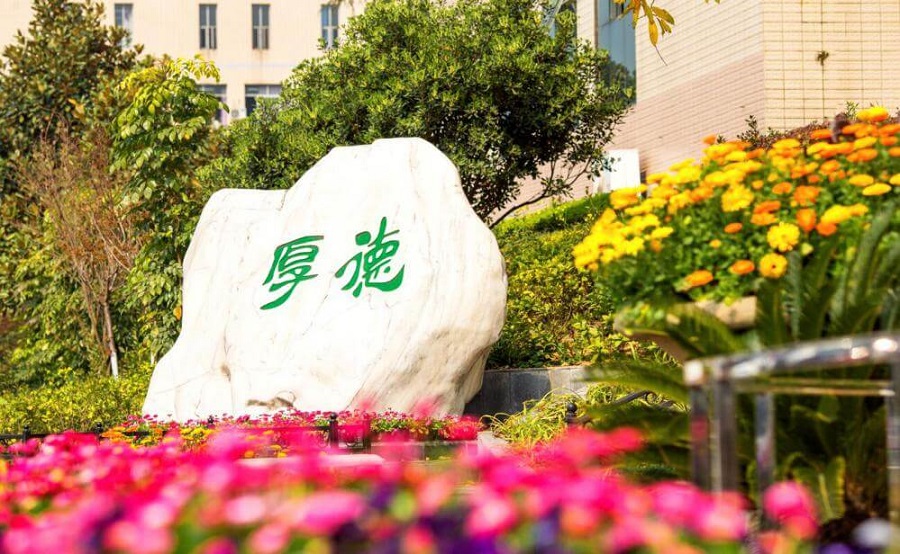 綿陽外國語學校學費大概是多少？