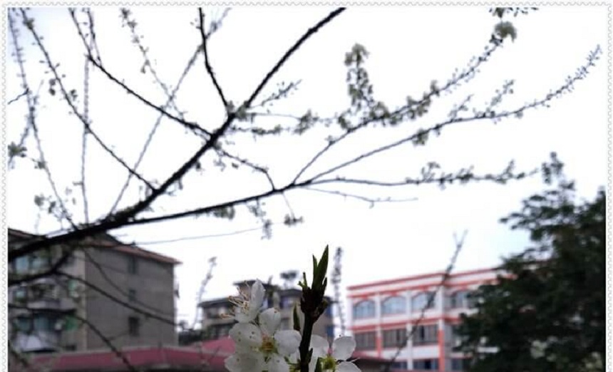 洪雅中學(xué)2018年招生分?jǐn)?shù)是多少？