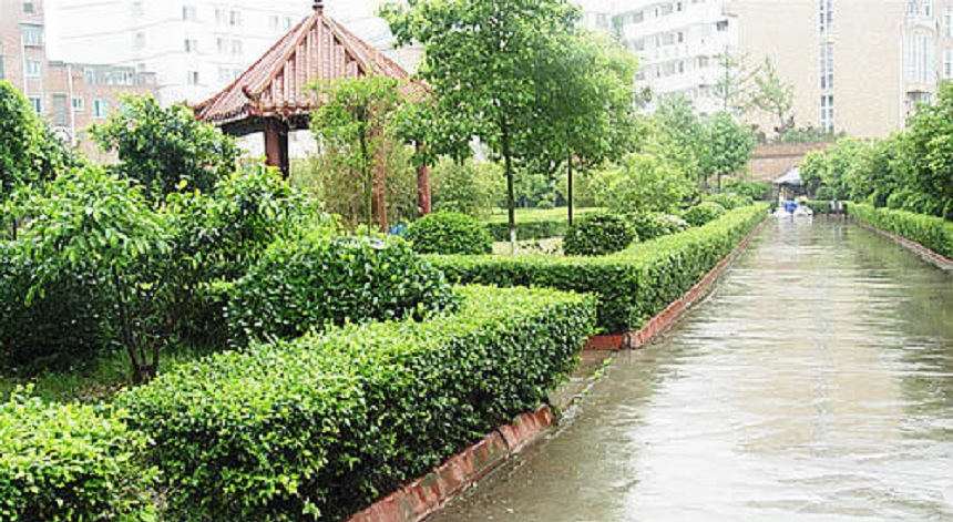 華興中學2019年中考分數(shù)線是多少？