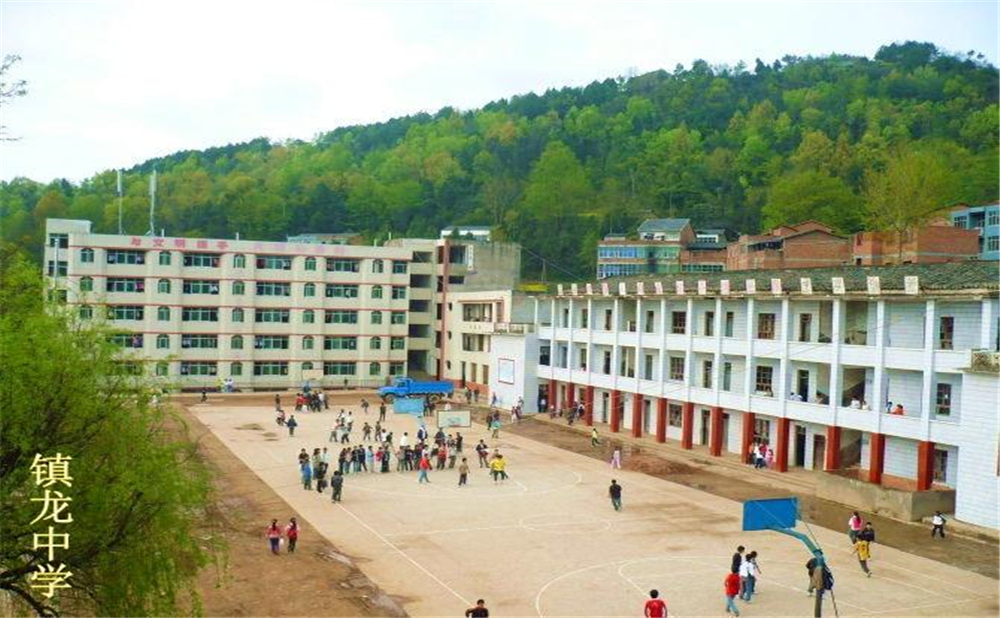 平昌縣鎮(zhèn)龍中學(xué)2020年學(xué)費(fèi)多少錢？
