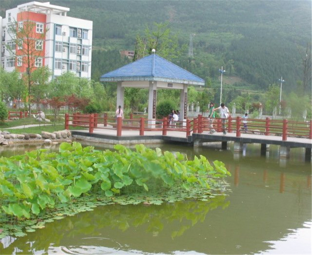 廣元外國語學(xué)校2020年學(xué)校招生簡章公布了嗎？