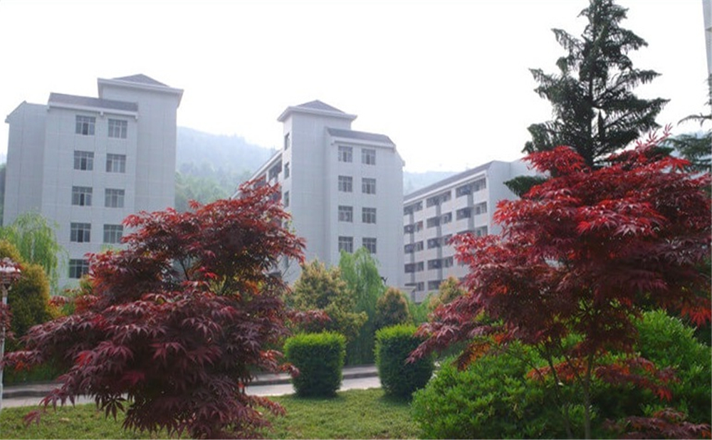 巴中中學(xué)學(xué)校詳細地址在什么地方？