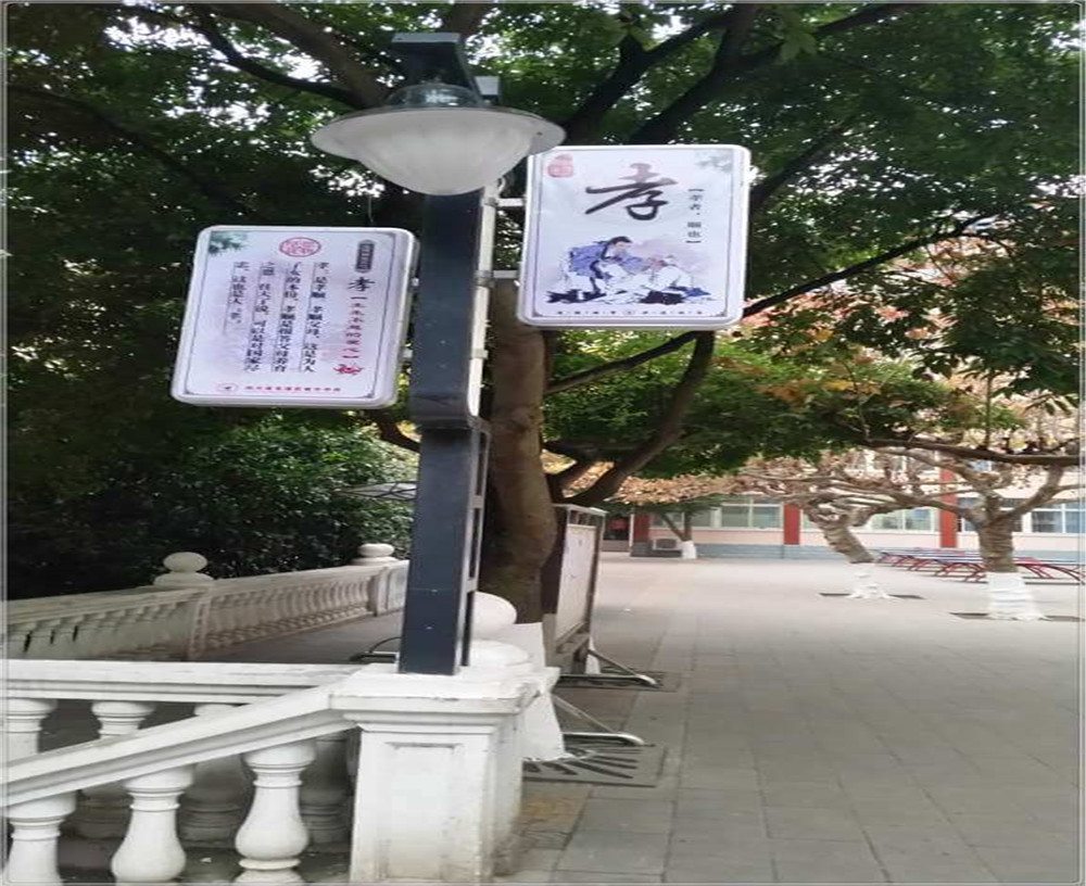 蒼溪實驗中學(xué)2020年的招生簡章發(fā)布了嗎？