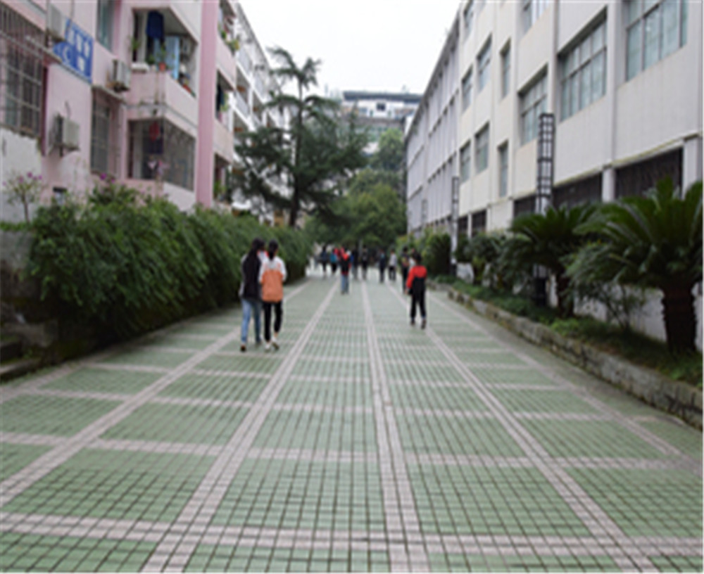 歧坪中學2020年的錄取分數(shù)是多少？