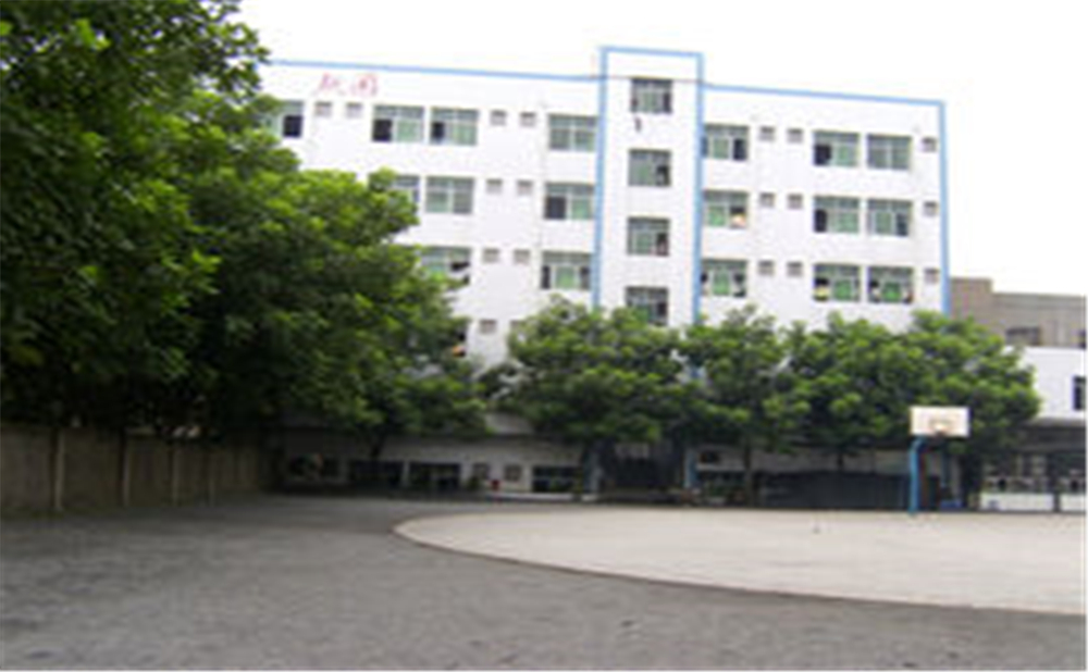 資中縣第三中學(xué)學(xué)校環(huán)境怎么樣？