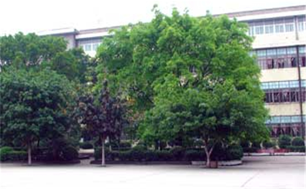 威遠(yuǎn)縣自強(qiáng)中學(xué)學(xué)校環(huán)境怎么樣？