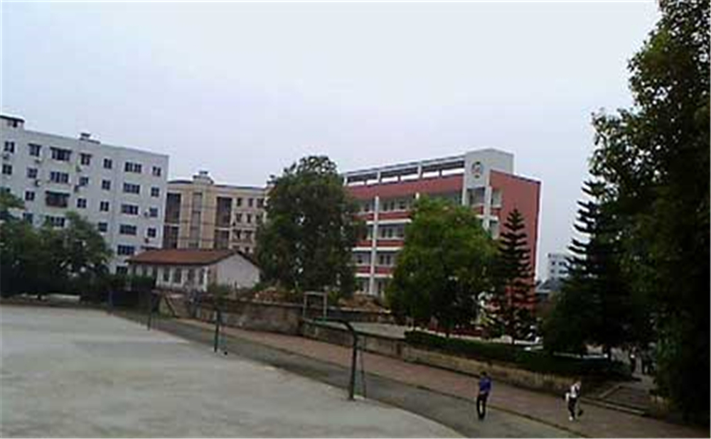 內(nèi)江十中2020年學(xué)校學(xué)費(fèi)多少錢一年？
