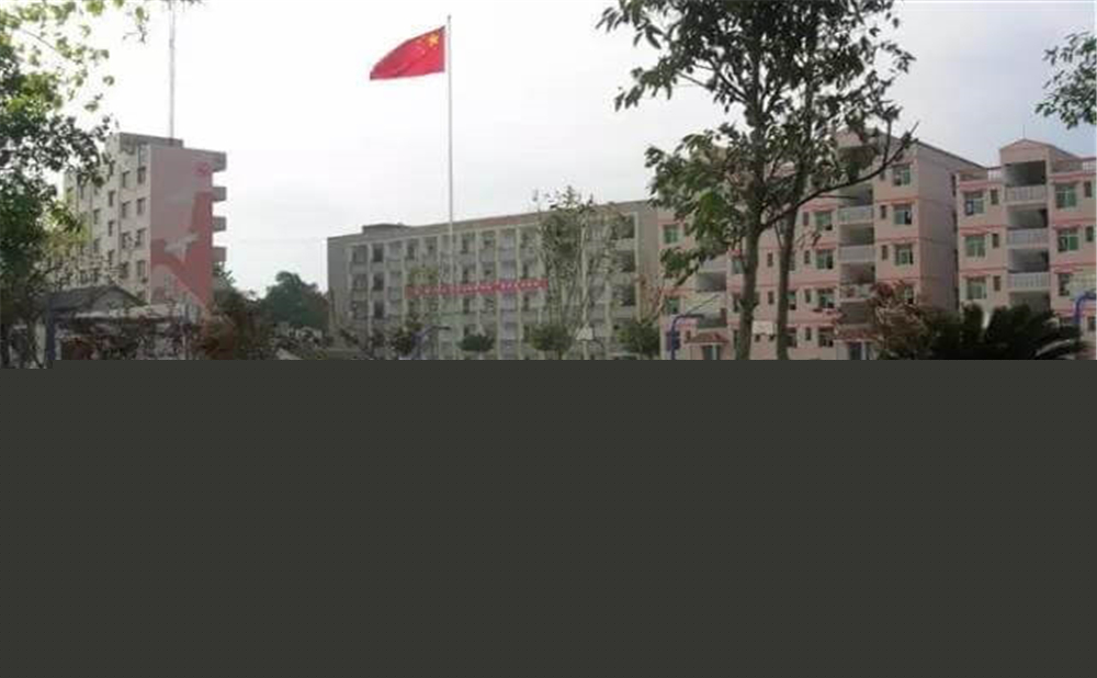 內(nèi)江市第十一中學(xué)學(xué)校環(huán)境怎么樣？