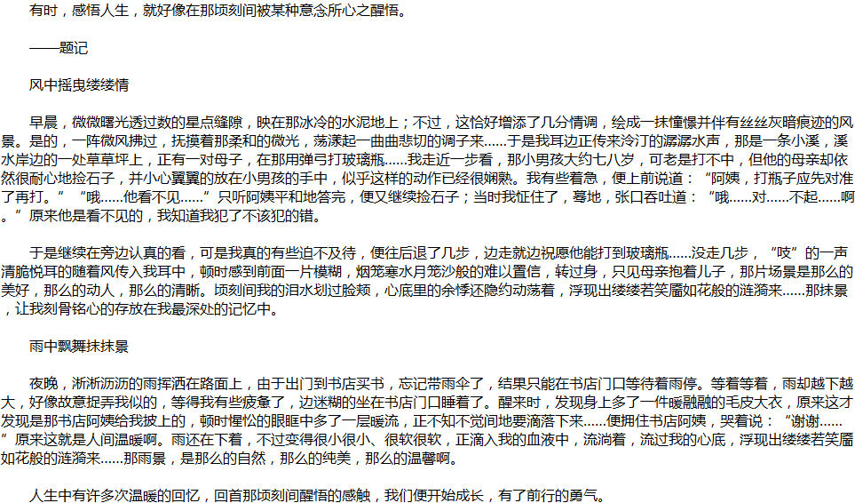2020年中考滿分作文說明文參考范文：那時，我淚流滿面
