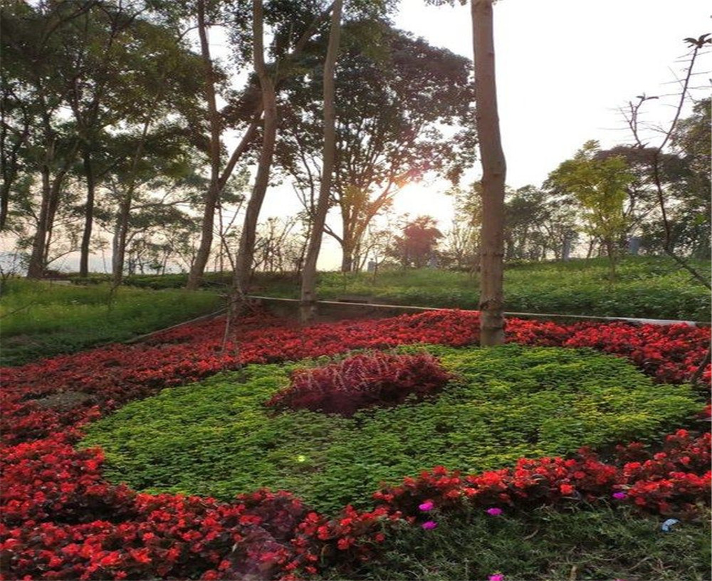 蒲家中學(xué)學(xué)校的招辦電話(huà)是多少？