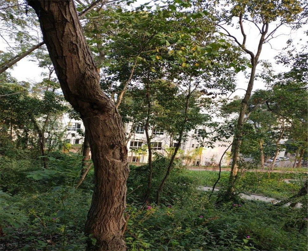 蒲家中學(xué)的詳細(xì)地址在什么地方？