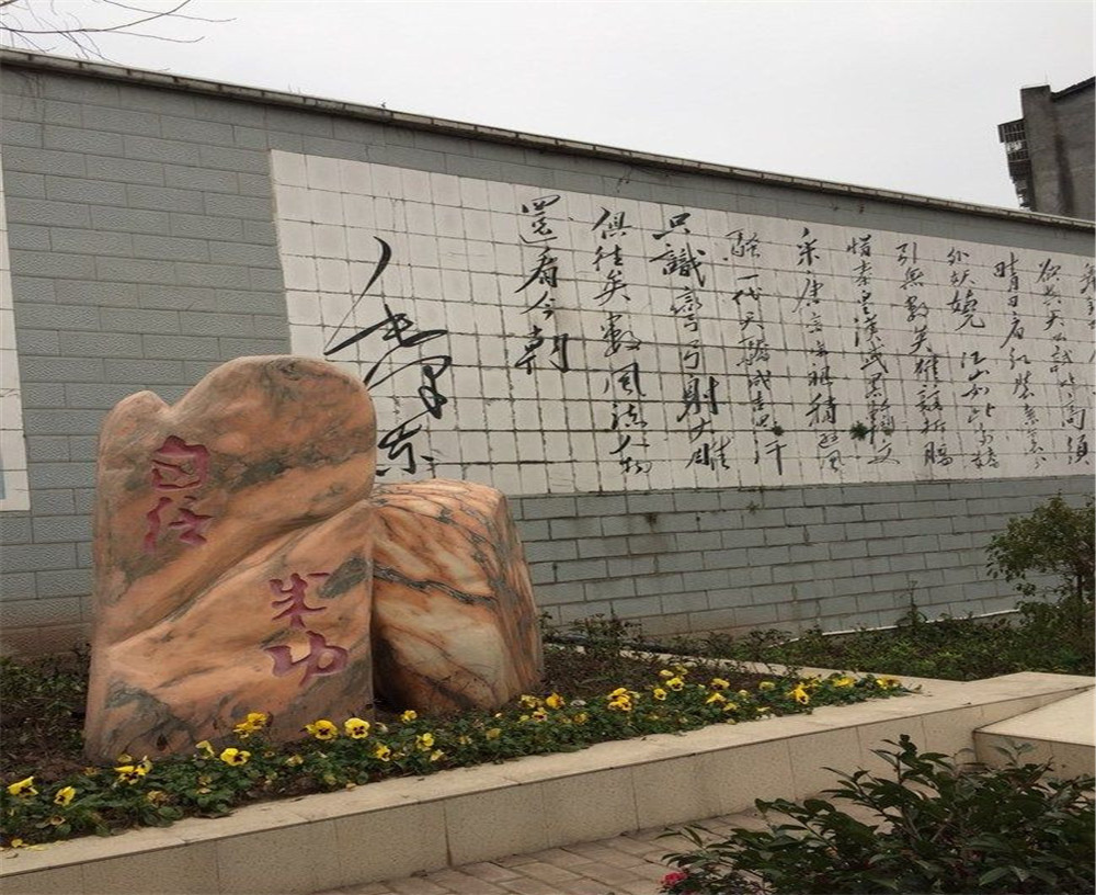 蒲家中學(xué)2020年招生計(jì)劃在哪兒看？