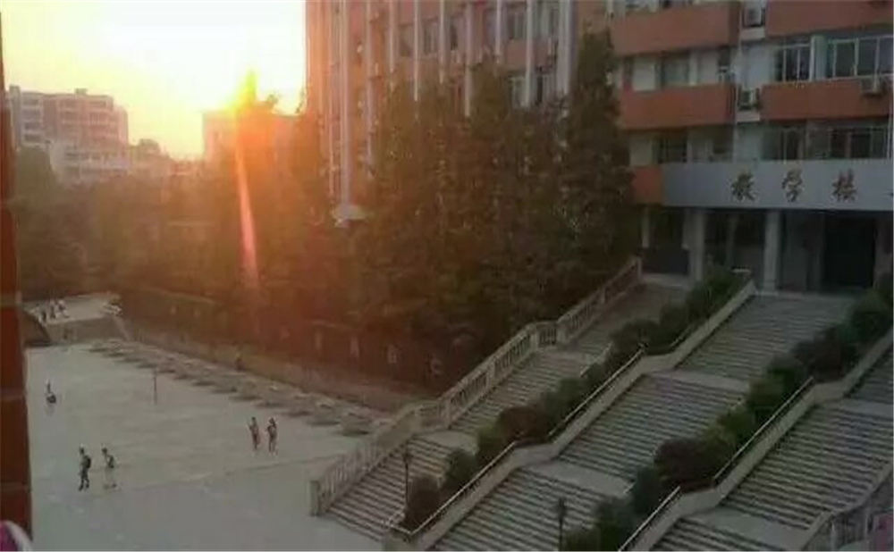 南充十一中學(xué)校招辦電話是多少？