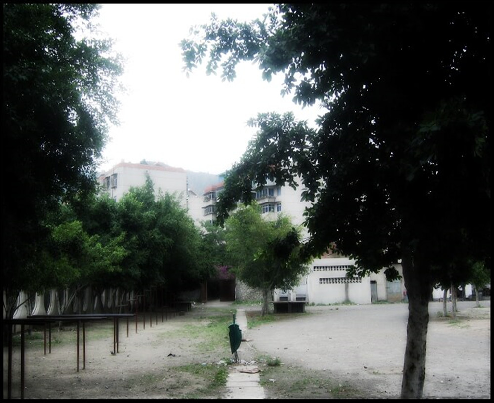 攀枝花市延邊縣中學(xué)校招辦電話是多少？