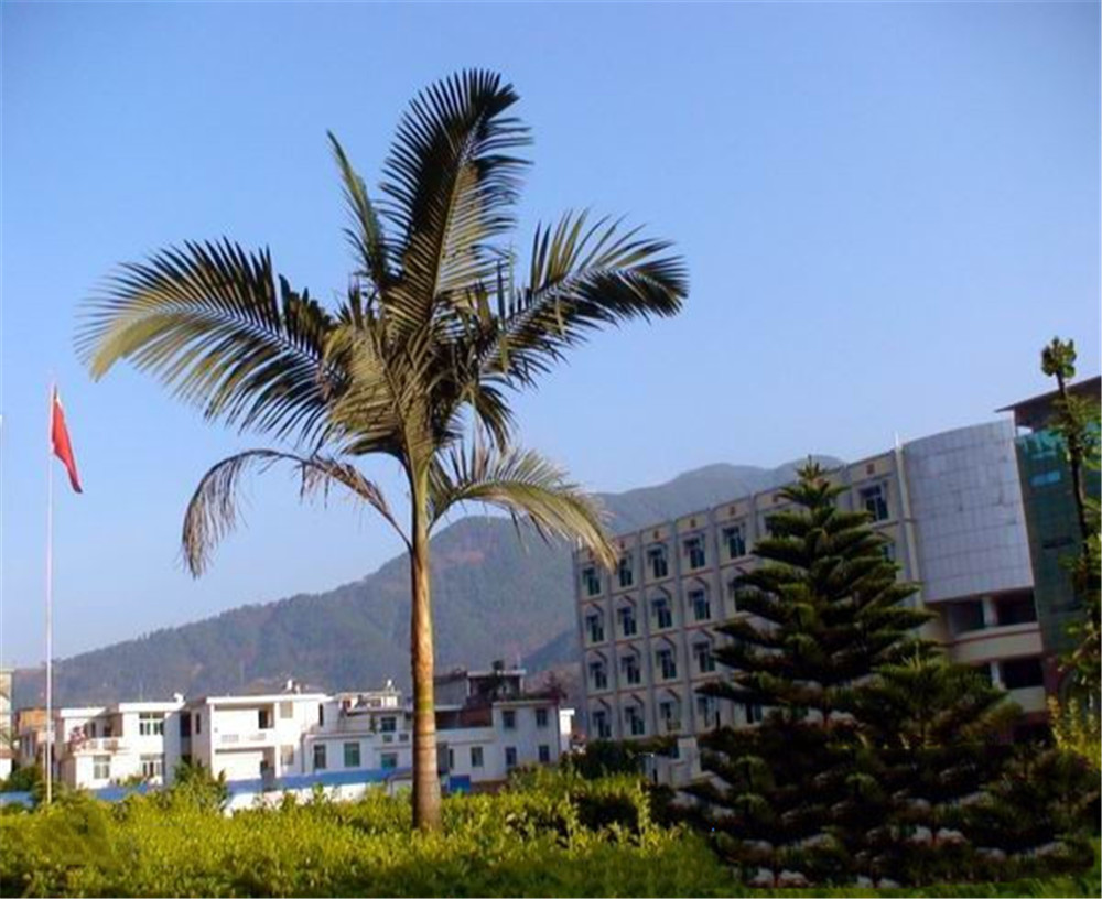 四川省鹽邊縣漁門中學(xué)2020年學(xué)校學(xué)費(fèi)多少錢一年？