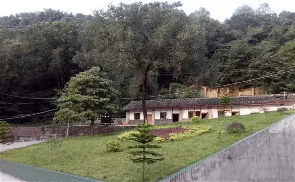 閬中市二龍中學學校環(huán)境怎么樣？