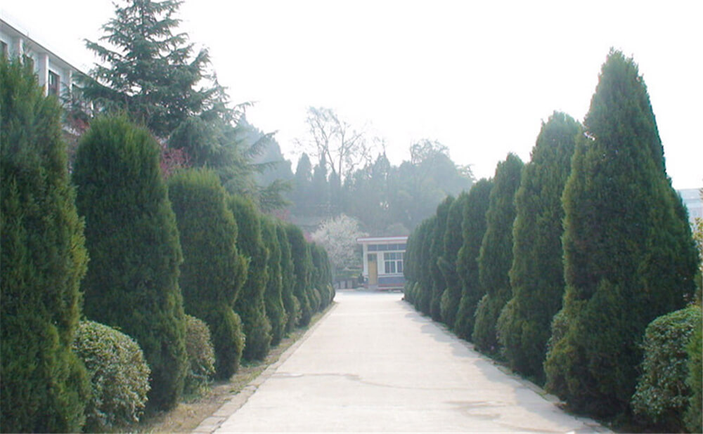 建興中學(xué)學(xué)校環(huán)境怎么樣？