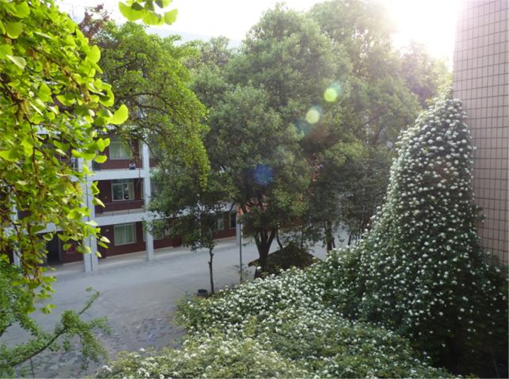 石室聯(lián)合中學(xué)蜀華分校的升學(xué)率怎么樣？