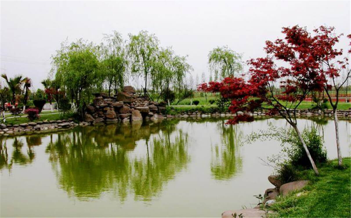 成都七中實(shí)驗(yàn)學(xué)校高中部的錄取分?jǐn)?shù)是多少？