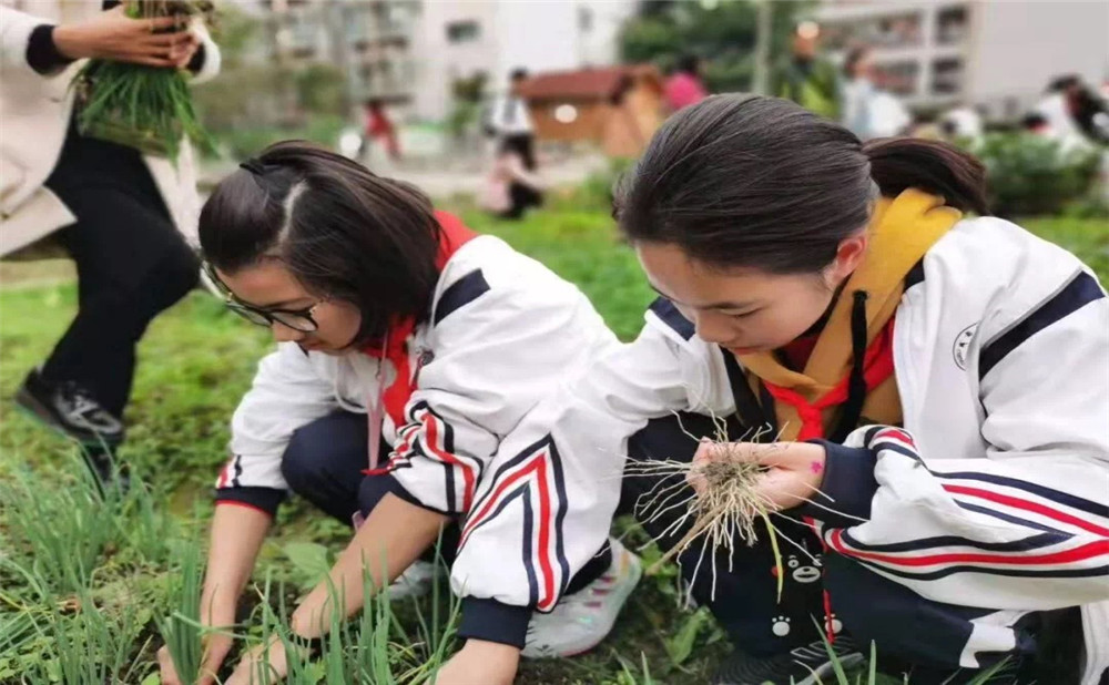 成都樹(shù)德中學(xué)光華校區(qū)招生計(jì)劃是多少