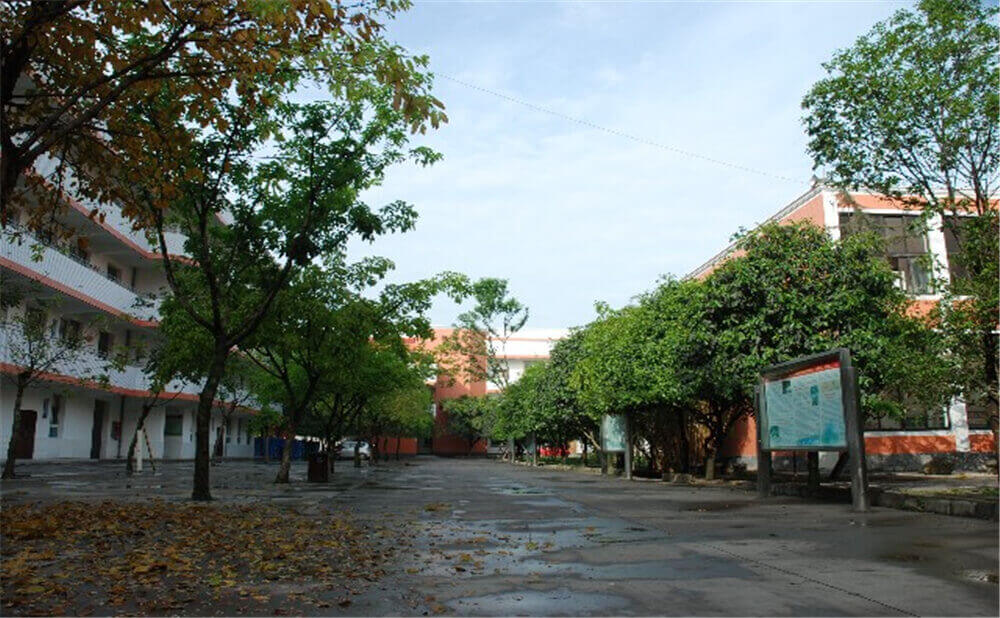 大邑中學近三年的錄取分數是多少分？