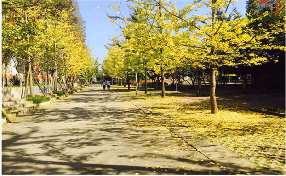 大邑中學(xué)2020年招生標(biāo)準(zhǔn)在哪兒看？