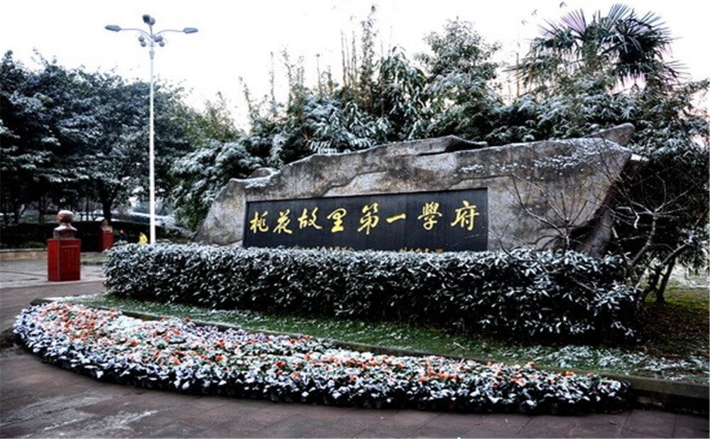 成都市龍泉中學(xué)的升學(xué)率是多少？