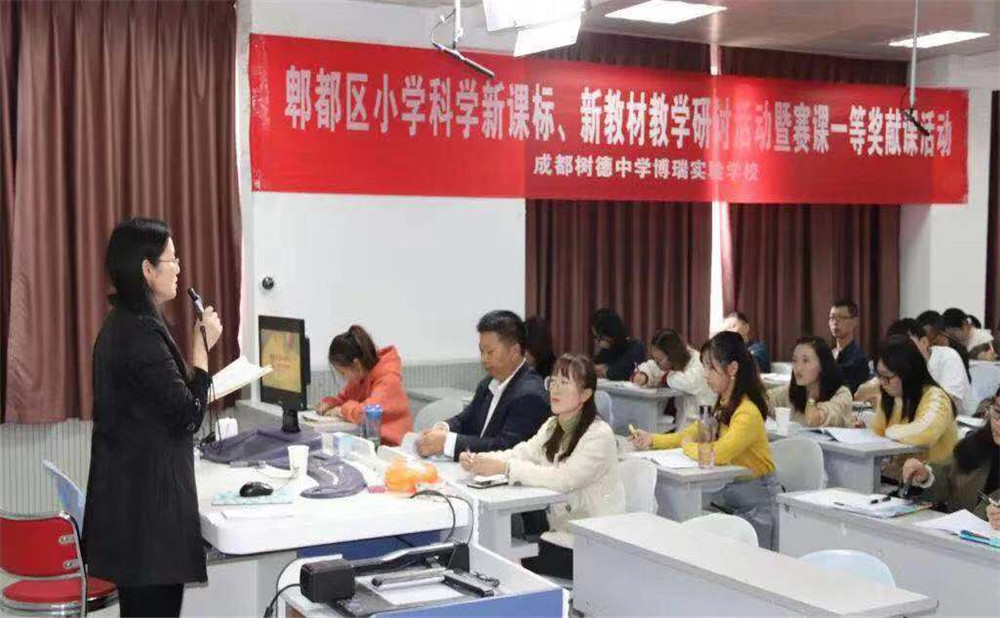 樹德博瑞實驗學校升學率是多少？