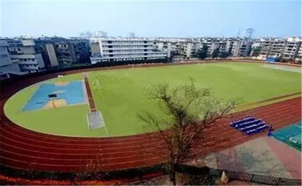 成都實(shí)外新都五龍山學(xué)校2020年招生標(biāo)準(zhǔn)在哪兒看？