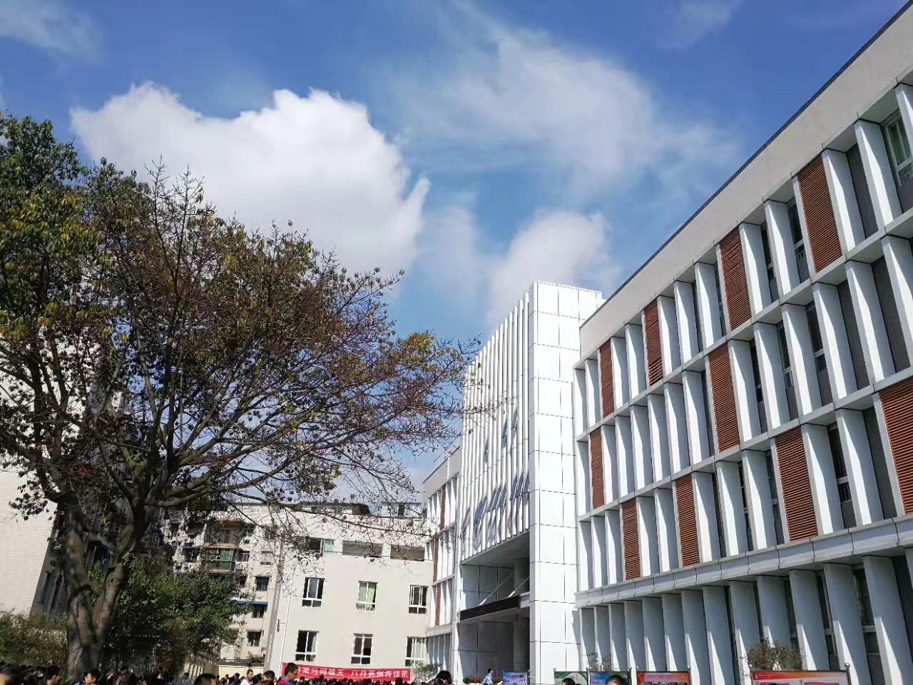 成都二十中高中一年的學(xué)費(fèi)是多少？