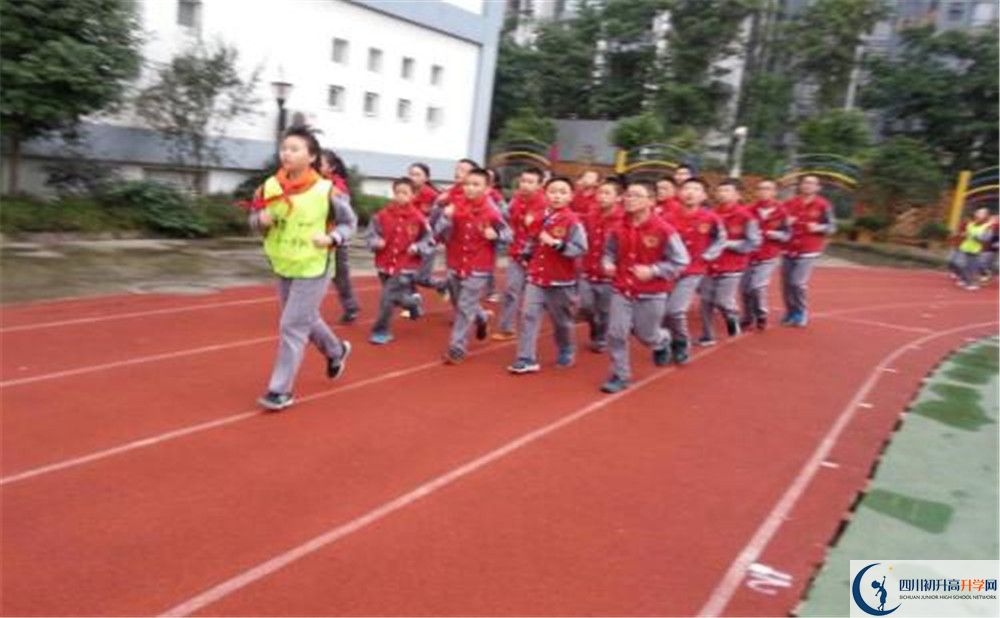 2020成都市泡桐樹中學的升學率有多少？