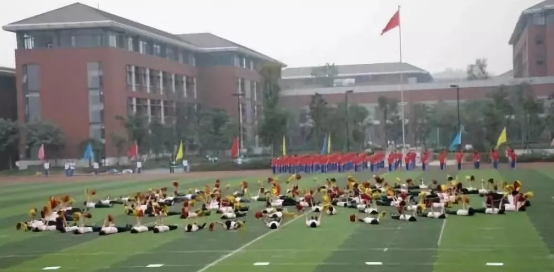 2020年成都七中高新校區(qū)的升學(xué)率有多少？