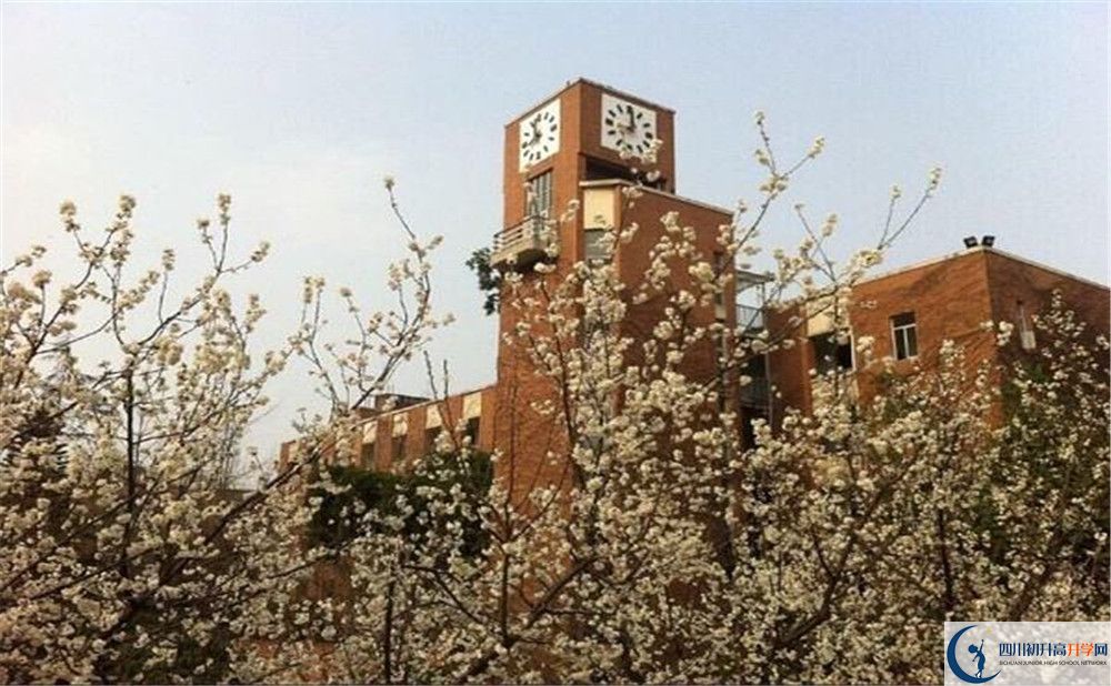 成都華西中學(xué)的學(xué)費(fèi)大概多少？