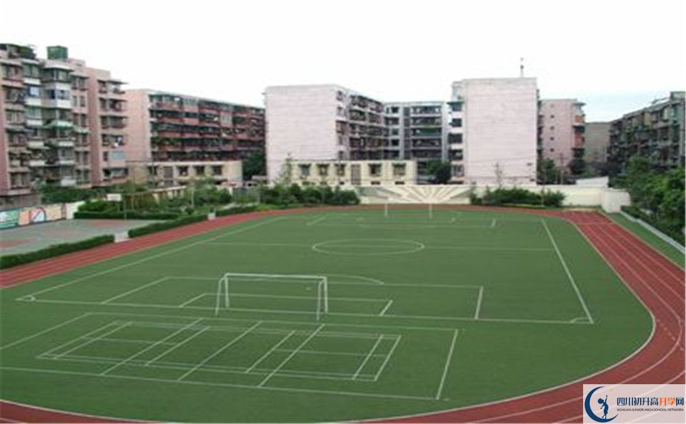 成都大學附屬中學的老師好不好？