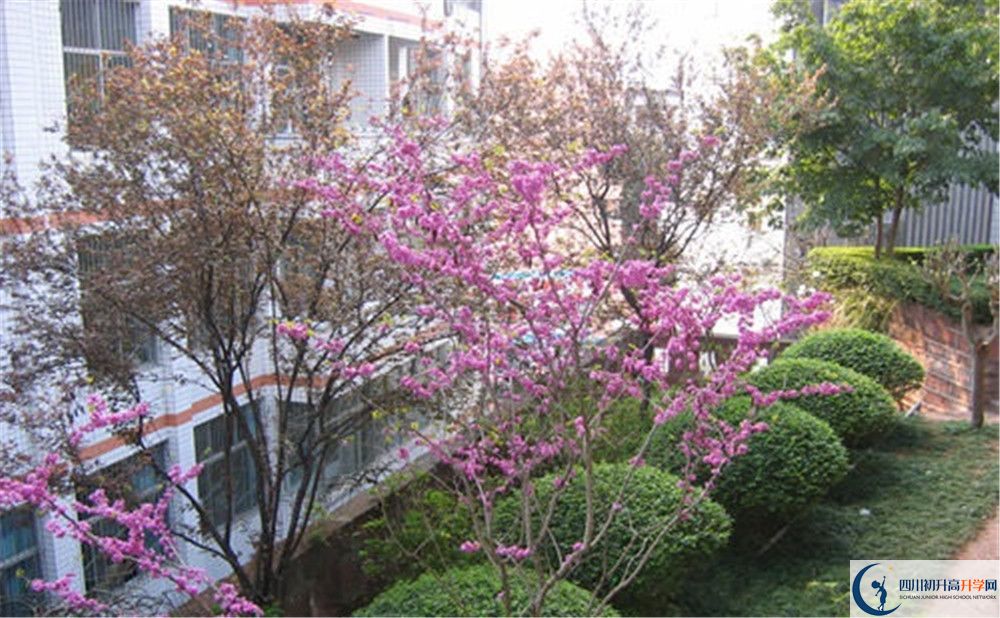三星中學(xué)初升高的分?jǐn)?shù)線是多少？