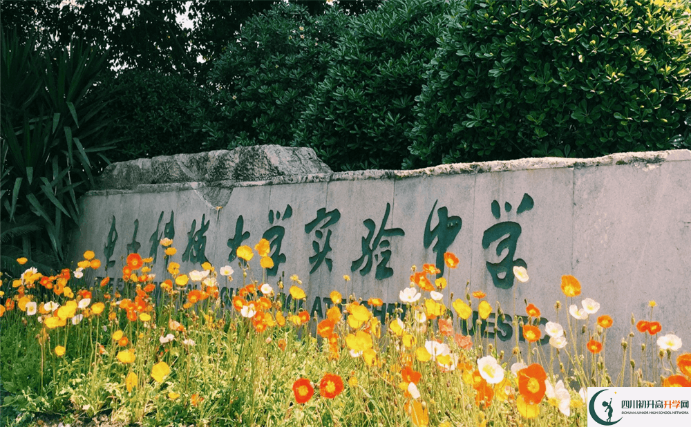 上電子科技大學(xué)實(shí)驗(yàn)中學(xué)的分?jǐn)?shù)線是多少分？